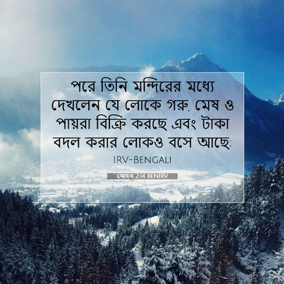 Picture 07 - যোহন 2:14 BENIRV - পরে তিনি মন্দিরের - Bible Verse Picture