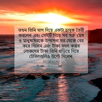 Picture 07 - যোহন 2:15 BENIRV - তখন তিনি ঘাস দিয়ে - Bible Verse Picture