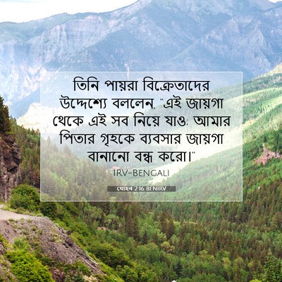 Picture 07 - যোহন 2:16 BENIRV - তিনি পায়রা - Bible Verse Picture