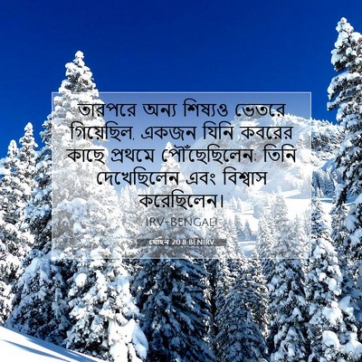 Picture 07 - যোহন 20:8 BENIRV - তারপরে অন্য - Bible Verse Picture