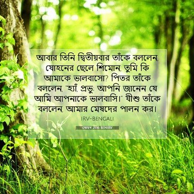 Picture 07 - যোহন 21:16 BENIRV - আবার তিনি - Bible Verse Picture