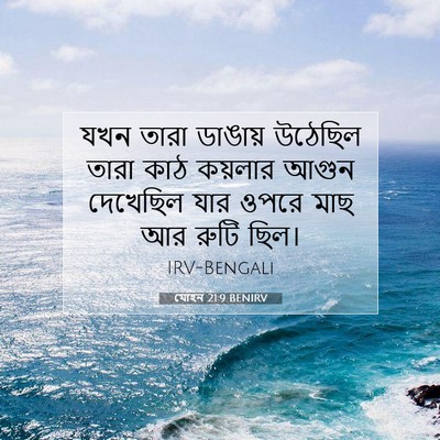 Picture 07 - যোহন 21:9 BENIRV - যখন তারা ডাঙায় - Bible Verse Picture