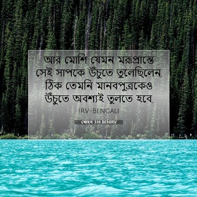 Picture 07 - যোহন 3:14 BENIRV - আর মোশি যেমন - Bible Verse Picture