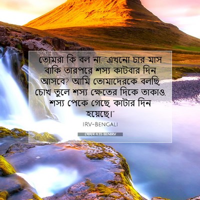 Picture 07 - যোহন 4:35 BENIRV - তোমরা কি বল না, - Bible Verse Picture