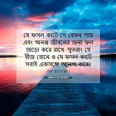 Picture 07 - যোহন 4:36 BENIRV - যে ফসল কাটে সে বেতন - Bible Verse Picture