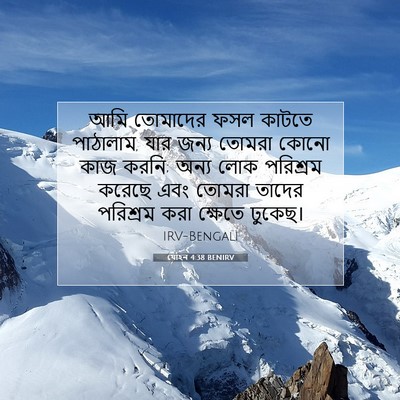 Picture 07 - যোহন 4:38 BENIRV - আমি তোমাদের ফসল - Bible Verse Picture