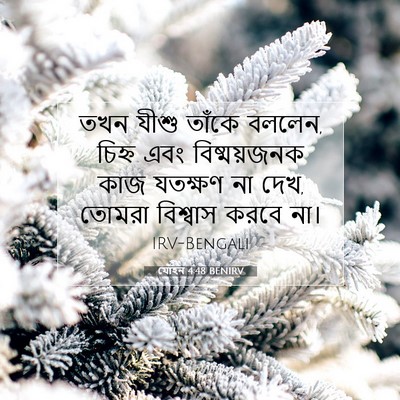Picture 07 - যোহন 4:48 BENIRV - তখন যীশু তাঁকে - Bible Verse Picture