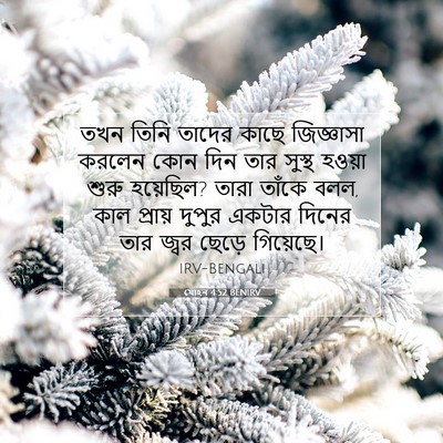 Picture 07 - যোহন 4:52 BENIRV - তখন তিনি তাদের - Bible Verse Picture