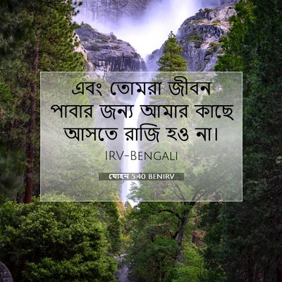 Picture 07 - যোহন 5:40 BENIRV - এবং তোমরা জীবন - Bible Verse Picture