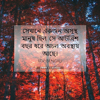 Picture 07 - যোহন 5:5 BENIRV - সেখানে একজন - Bible Verse Picture