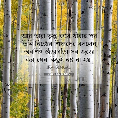 Picture 07 - যোহন 6:12 BENIRV - আর তারা তৃপ্ত করে - Bible Verse Picture