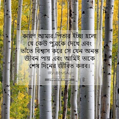 Picture 07 - যোহন 6:40 BENIRV - কারণ আমার পিতার - Bible Verse Picture