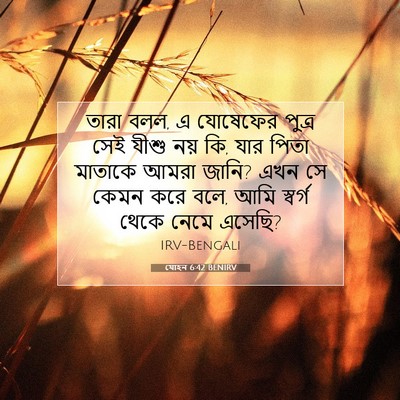 Picture 07 - যোহন 6:42 BENIRV - তারা বলল, এ যোষেফের - Bible Verse Picture