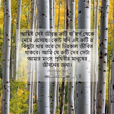 Picture 07 - যোহন 6:51 BENIRV - আমিই সেই জীবন্ত - Bible Verse Picture