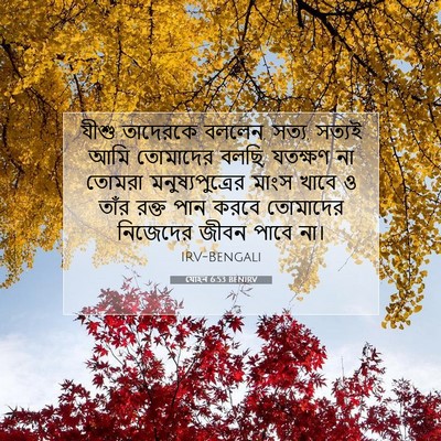 Picture 07 - যোহন 6:53 BENIRV - যীশু তাদেরকে - Bible Verse Picture