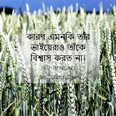 Picture 07 - যোহন 7:5 BENIRV - কারণ এমনকি তাঁর - Bible Verse Picture