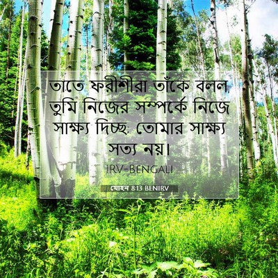 Picture 07 - যোহন 8:13 BENIRV - তাতে ফরীশীরা - Bible Verse Picture