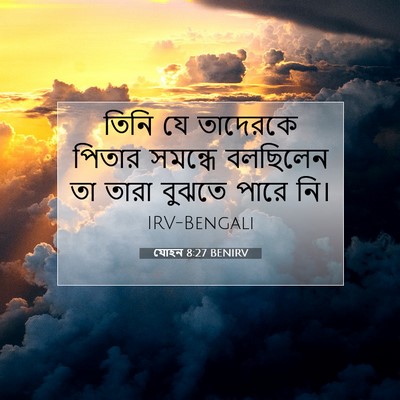 Picture 07 - যোহন 8:27 BENIRV - তিনি যে তাদেরকে - Bible Verse Picture