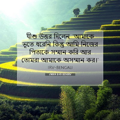 Picture 07 - যোহন 8:49 BENIRV - যীশু উত্তর দিলেন, - Bible Verse Picture