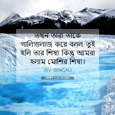 Picture 07 - যোহন 9:28 BENIRV - তখন তারা তাকে - Bible Verse Picture