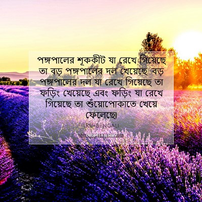 Picture 07 - যোৱেল 1:4 BENIRV - পঙ্গপালের শূককীট - Bible Verse Picture