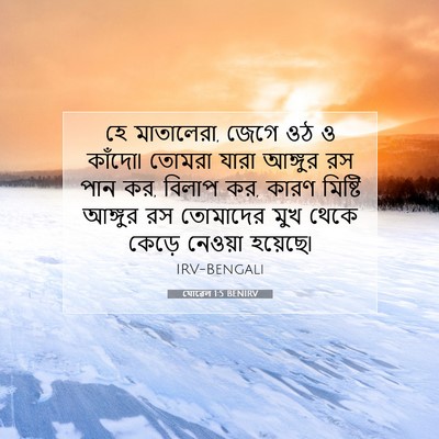 Picture 07 - যোৱেল 1:5 BENIRV - হে মাতালেরা, জেগে - Bible Verse Picture