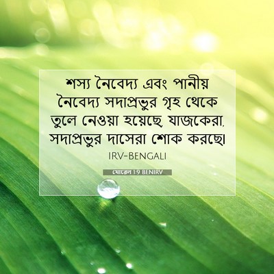 Picture 07 - যোৱেল 1:9 BENIRV - শস্য নৈবেদ্য এবং - Bible Verse Picture