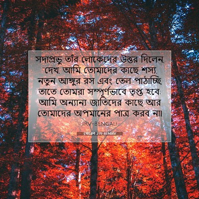 Picture 07 - যোৱেল 2:19 BENIRV - সদাপ্রভু তাঁর - Bible Verse Picture