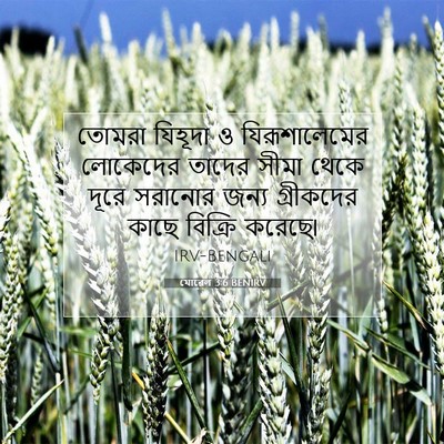 Picture 07 - যোৱেল 3:6 BENIRV - তোমরা যিহূদা ও - Bible Verse Picture