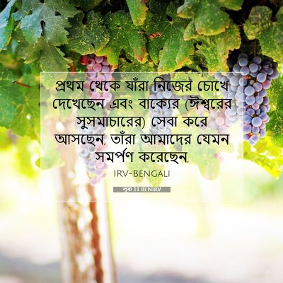 Picture 07 - লূক 1:1 BENIRV - প্রথম থেকে যাঁরা - Bible Verse Picture