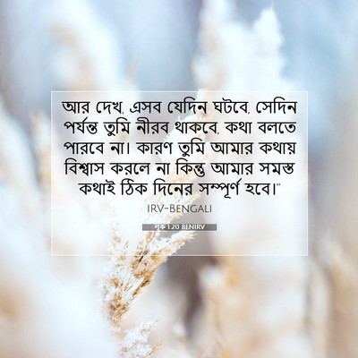 Picture 07 - লূক 1:20 BENIRV - আর দেখ, এসব যেদিন - Bible Verse Picture