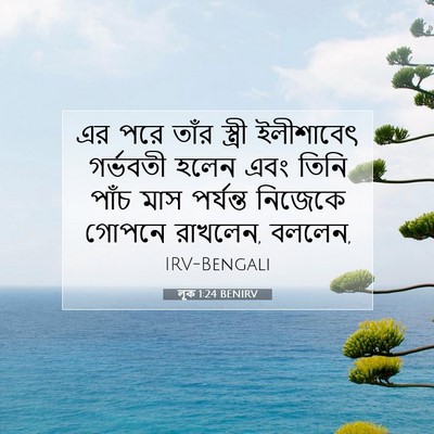 Picture 07 - লূক 1:24 BENIRV - এর পরে তাঁর স্ত্রী - Bible Verse Picture