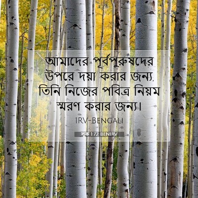 Picture 07 - লূক 1:72 BENIRV - আমাদের - Bible Verse Picture