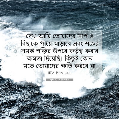 Picture 07 - লূক 10:19 BENIRV - দেখ, আমি তোমাদের - Bible Verse Picture