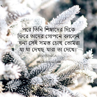 Picture 07 - লূক 10:23 BENIRV - পরে তিনি শিষ্যদের - Bible Verse Picture