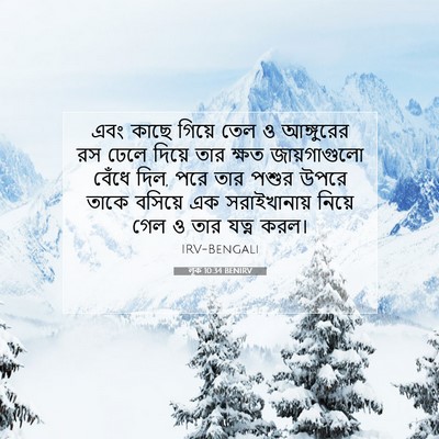 Picture 07 - লূক 10:34 BENIRV - এবং কাছে গিয়ে তেল - Bible Verse Picture