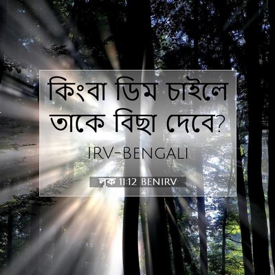 Picture 07 - লূক 11:12 BENIRV - কিংবা ডিম চাইলে - Bible Verse Picture