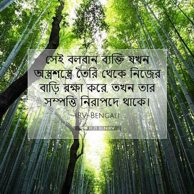 Picture 07 - লূক 11:21 BENIRV - সেই বলবান ব্যক্তি - Bible Verse Picture