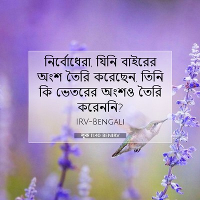 Picture 07 - লূক 11:40 BENIRV - নির্বোধেরা, যিনি - Bible Verse Picture