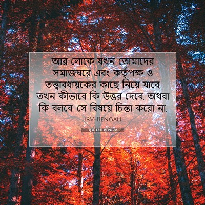 Picture 07 - লূক 12:11 BENIRV - আর লোকে যখন - Bible Verse Picture