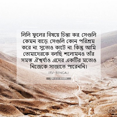 Picture 07 - লূক 12:27 BENIRV - লিলি ফুলের বিষয়ে - Bible Verse Picture