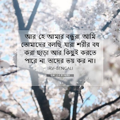 Picture 07 - লূক 12:4 BENIRV - আর, হে আমার - Bible Verse Picture