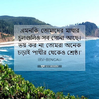 Picture 07 - লূক 12:7 BENIRV - এমনকি, তোমাদের - Bible Verse Picture