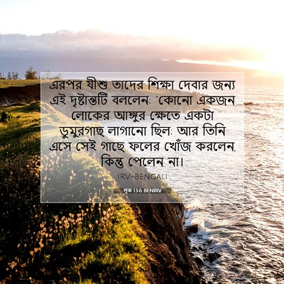 Picture 07 - লূক 13:6 BENIRV - এরপর যীশু তাদের - Bible Verse Picture