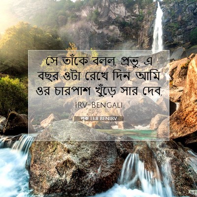 Picture 07 - লূক 13:8 BENIRV - সে তাঁকে বলল, - Bible Verse Picture