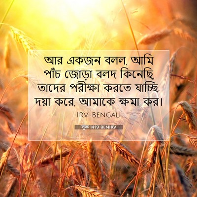 Picture 07 - লূক 14:19 BENIRV - আর একজন বলল, আমি - Bible Verse Picture