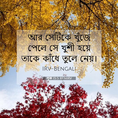 Picture 07 - লূক 15:5 BENIRV - আর সেটিকে খুঁজে - Bible Verse Picture