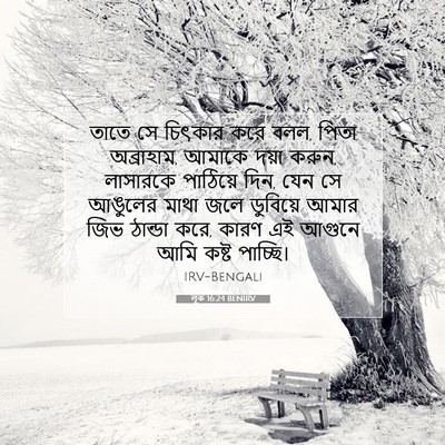 Picture 07 - লূক 16:24 BENIRV - তাতে সে চিৎকার করে - Bible Verse Picture