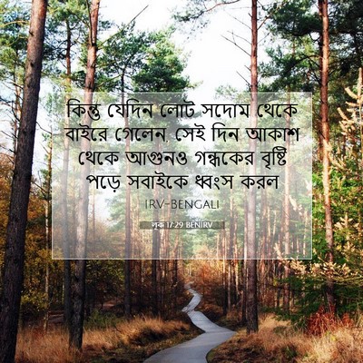 Picture 07 - লূক 17:29 BENIRV - কিন্তু যেদিন লোট - Bible Verse Picture