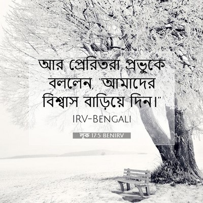 Picture 07 - লূক 17:5 BENIRV - আর প্রেরিতরা - Bible Verse Picture